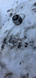 20251014_144710.jpg